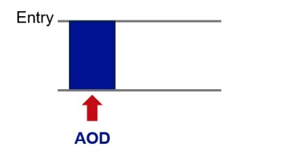 A diagram showing an entry level of achievement in at least one area of distinction