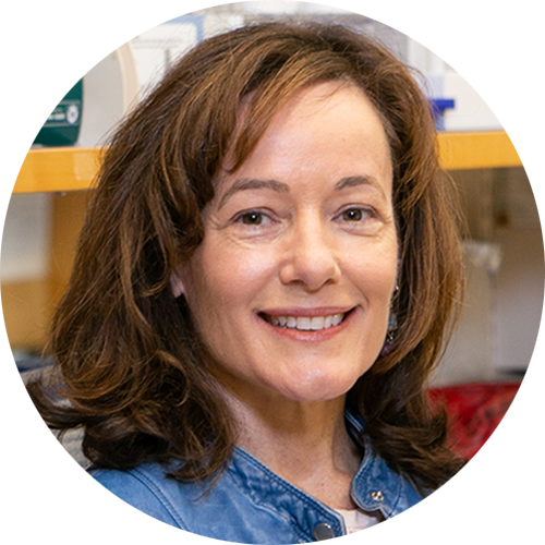 Headshot of Sharon Cantor, PhD