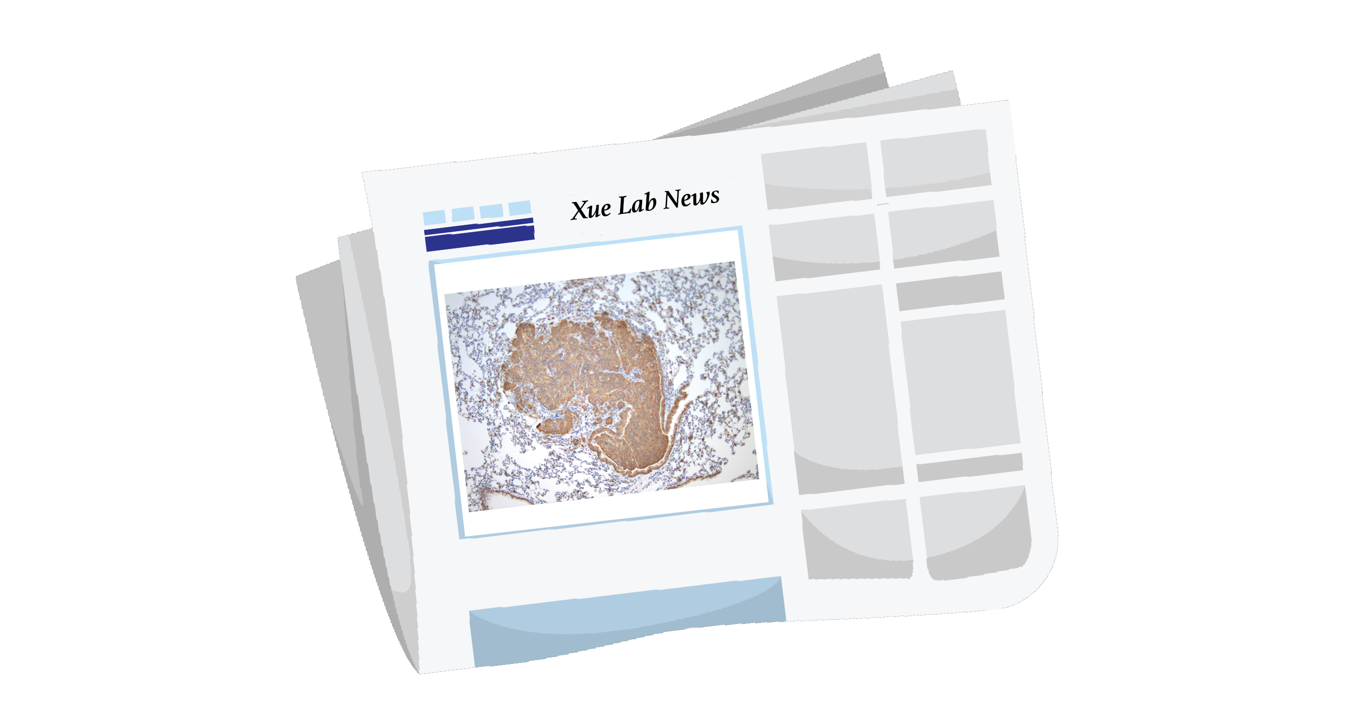  Xue News Block.png