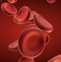 Blood cells