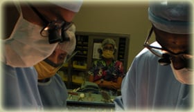 Organ Transplantation