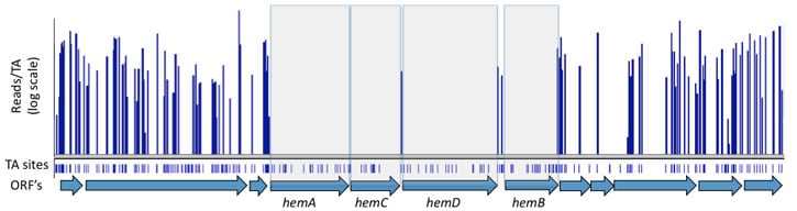 Phenotypic_profiling_picture2 Phenotypic_profiling_picture2