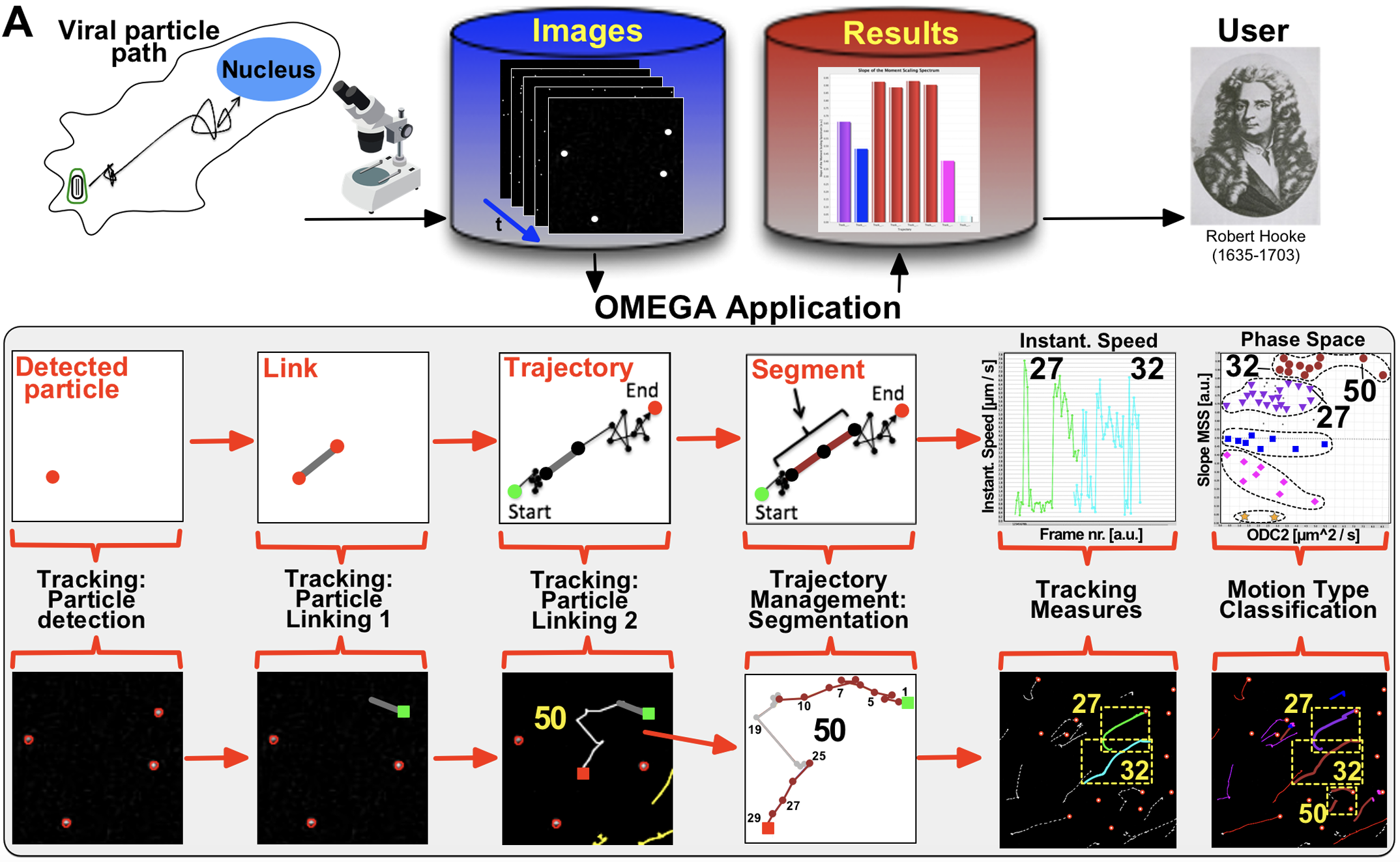 Depicted is a schematic representation of the OMEGA workflow
