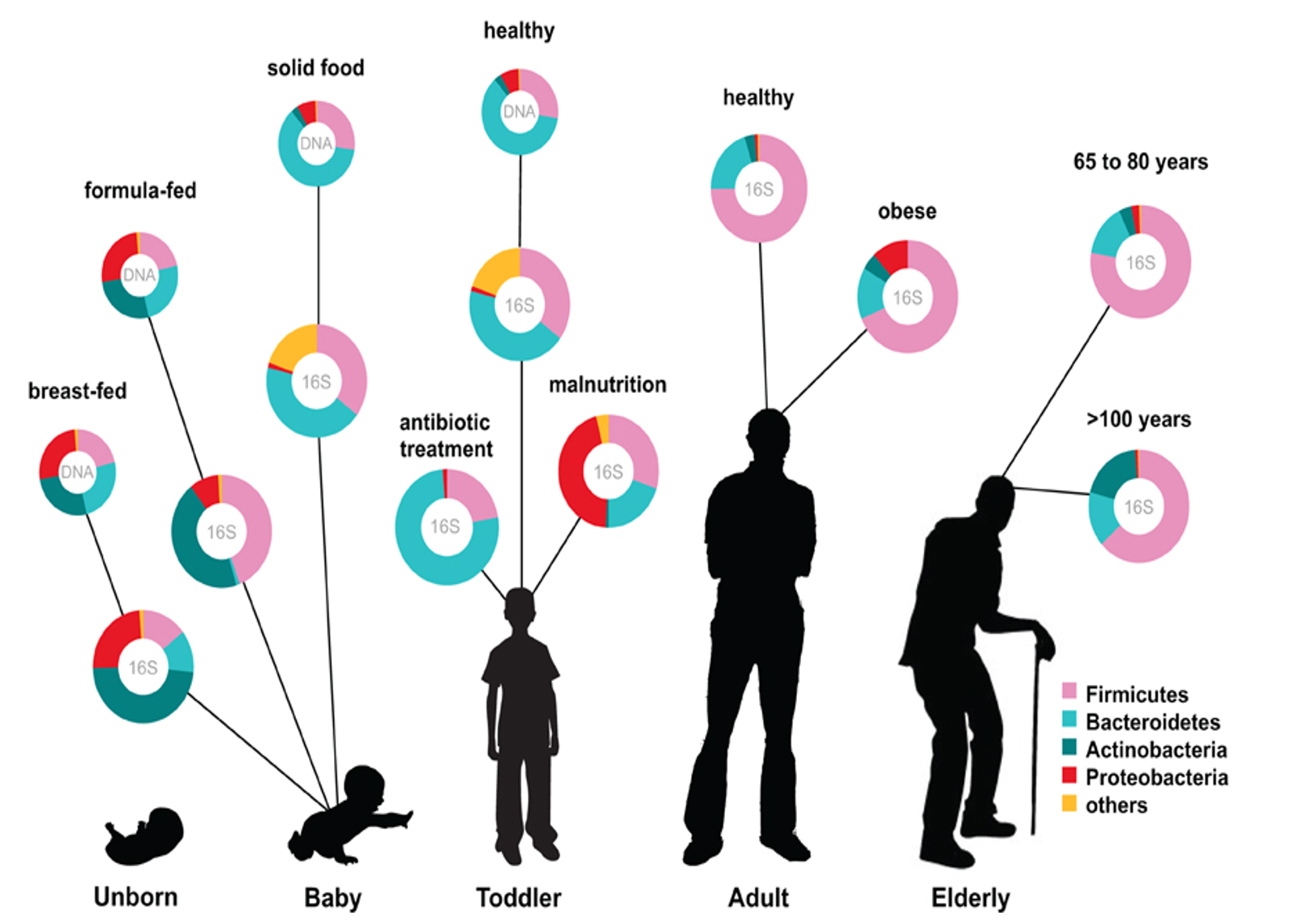 What is Gene Therapy - research, therapeutic strategies, tools and technologies - Horae G