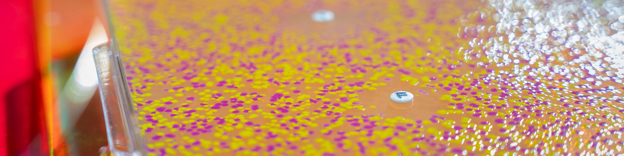 hero image basic research.png