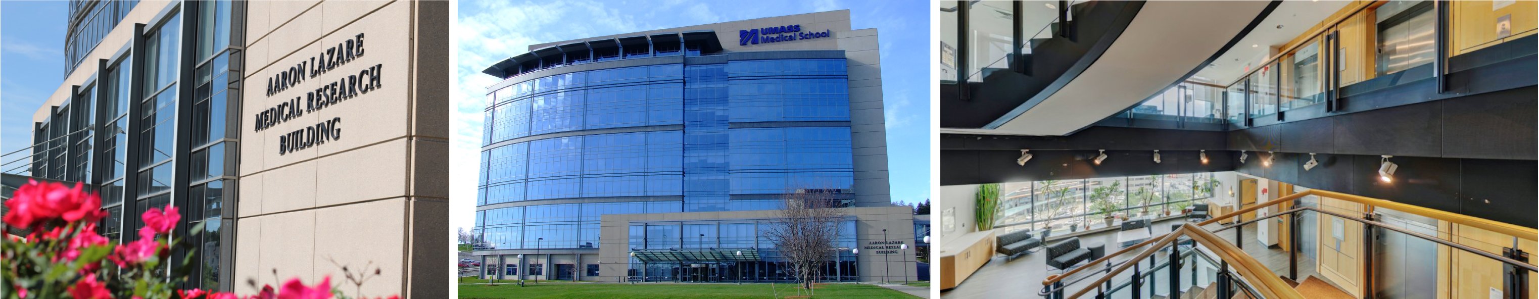 Three photos showing the exterior and interior of the Aaron Lazare Medical Research Building.