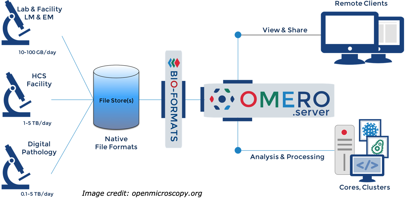The OMERO server provides a glue to connect image data with data curation, analysis, visualization and publication tools
