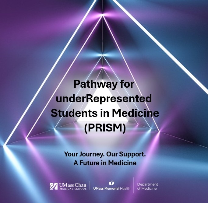 Pathway for underRepresented Students in Medicine (PRISM), image of a prism with a rainbow running through it