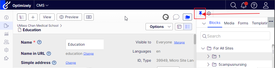 screenshot pointing to the pin icon that keeps the panel open