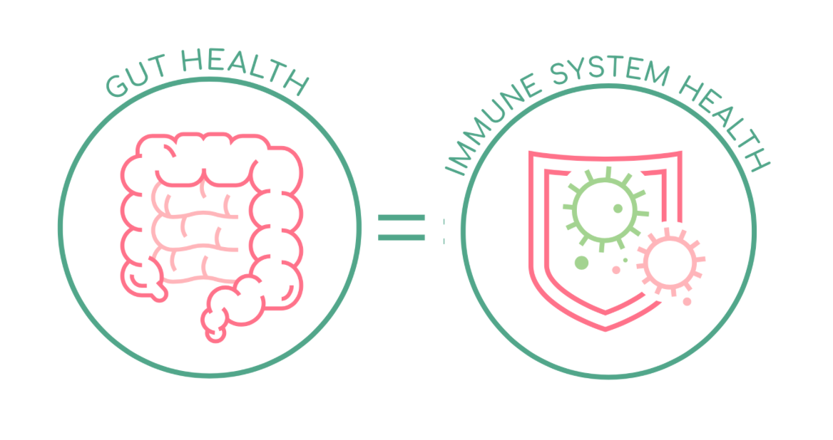 What is Gene Therapy - research, therapeutic strategies, tools and technologies - Horae G
