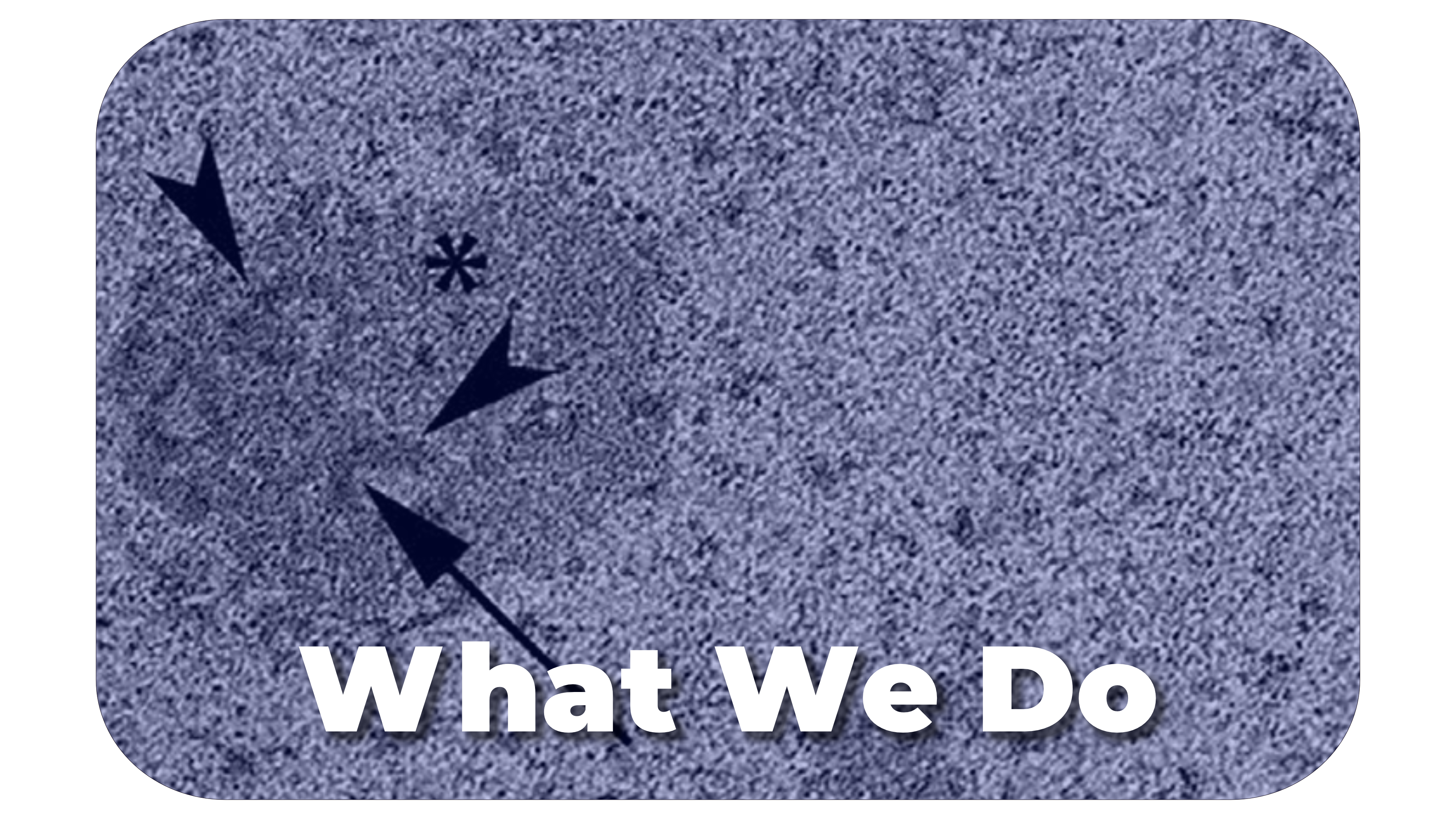  pederson_what we do.png