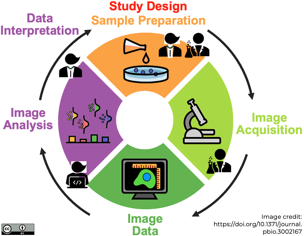 Displayed are the four mutually interconnected steps of an imaging experiment