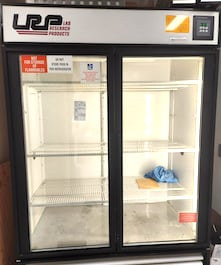 Bee: Bombus ternarius