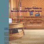 Judges&rsquo; Guide to Juvenile Mental Health Jargon