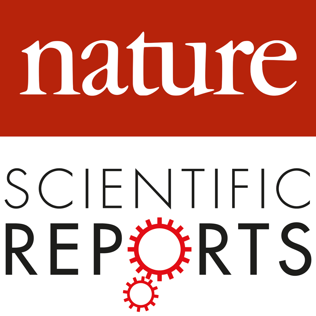 Role of alpha-1 antitrypsin in Bruch’s membrane integrity - 2025