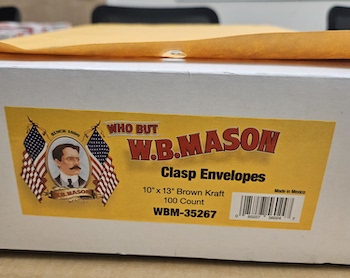 Bee: Bombus ternarius