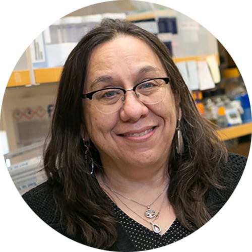 Headshot of Heidi Tissenbaum, PhD