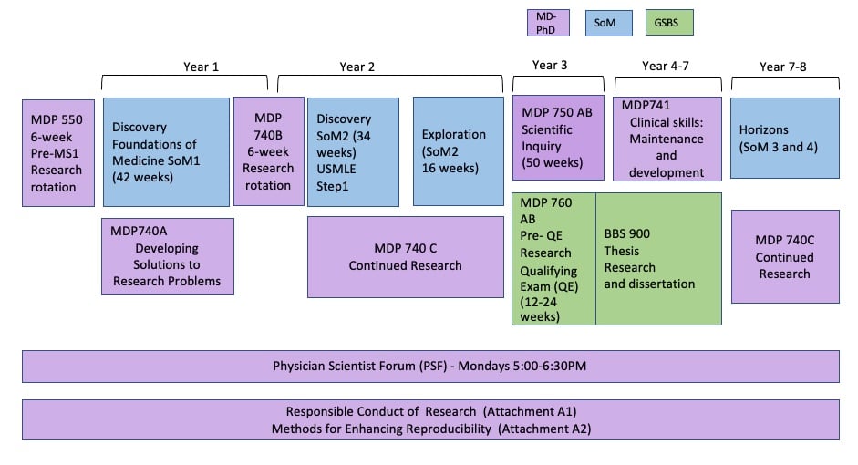 MSTP Timeline