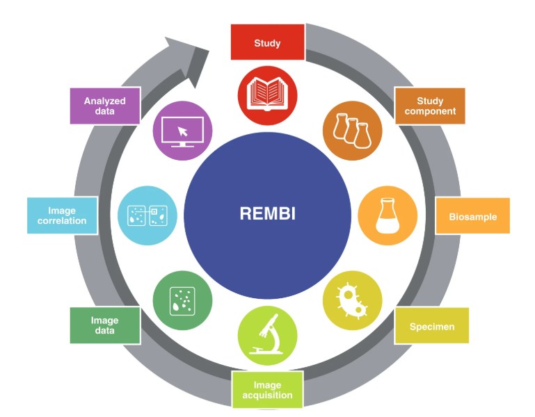 This image provided a graphical representation of the REMBI metadata recommendations