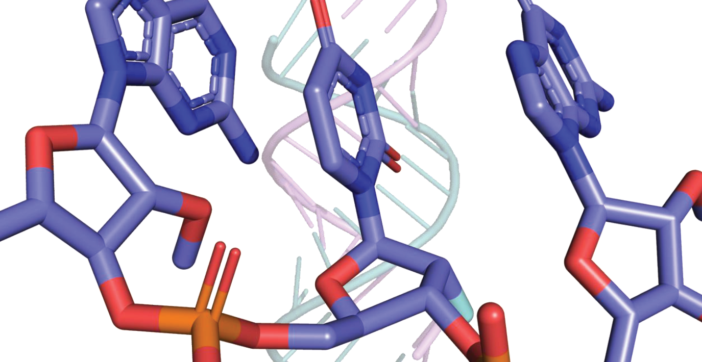  Research Block, KY2.png