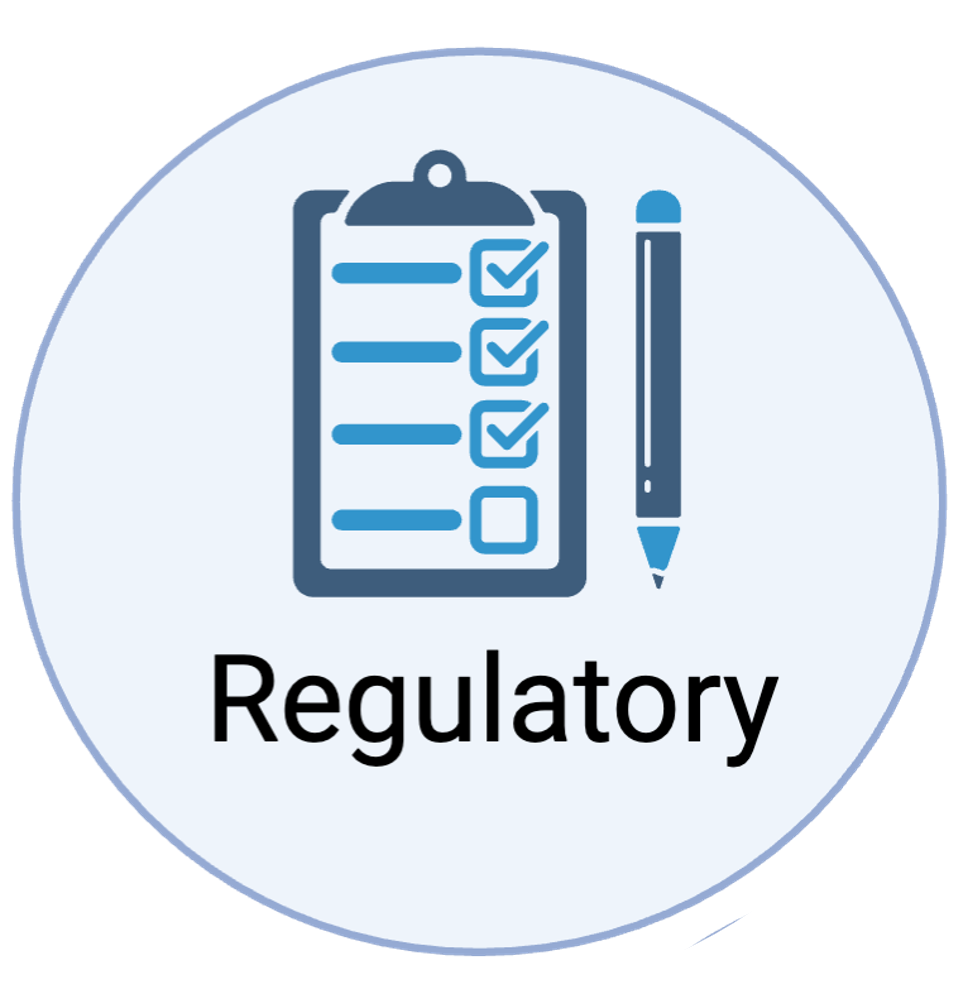 Cartoon showing regulatory challenges