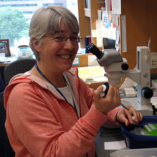 Andrea Thackeray Andrea Thackeray