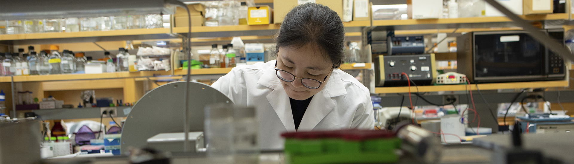 bmb research hero researching.jpg