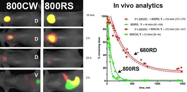 ILAT figure - Bogdanov Lab - UMass Chan Medical School