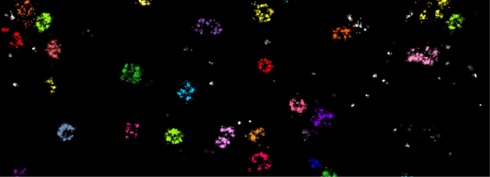 SuperRes CALM background.jpg