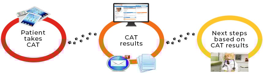 Diagram showing the model for the CATS-PC project