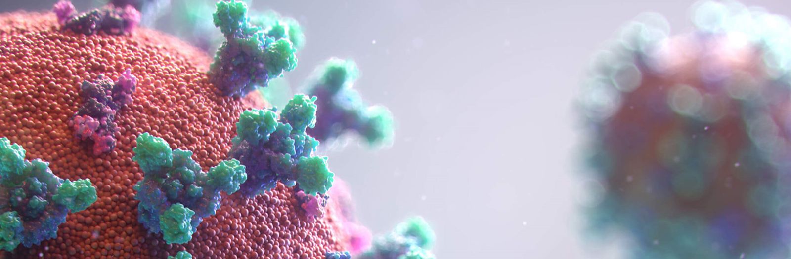 COVID Homepage Slider.png