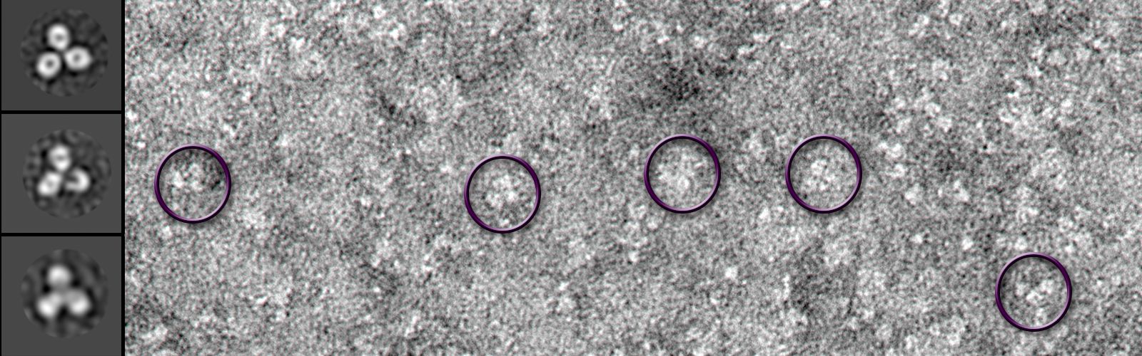 particulate sample.png