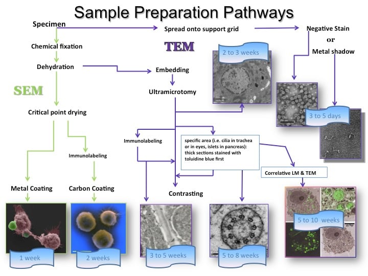 Routine Services Routine Services
