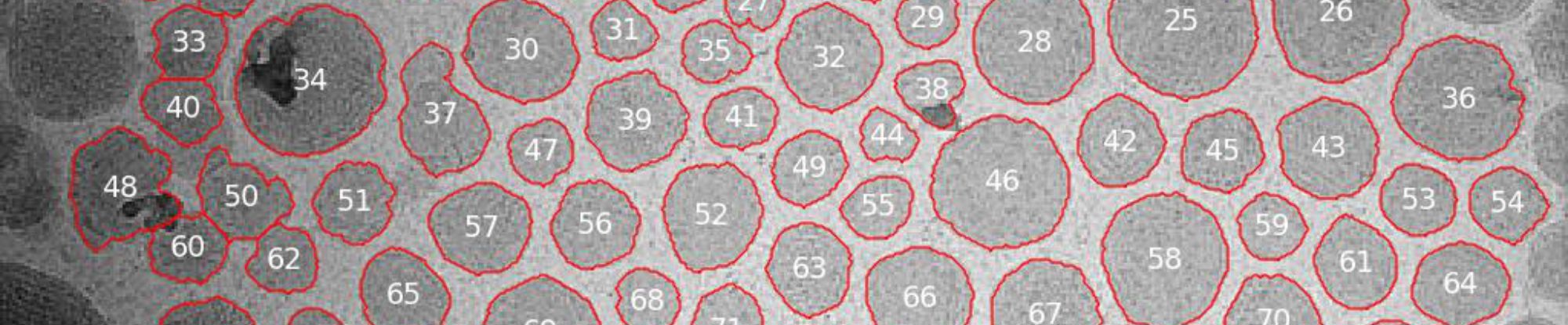 cxu_research slider_final.png