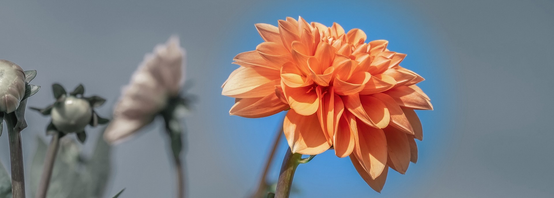 Because Healing is Possible