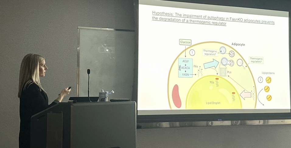 Leslie Rowland presenting diabetes research