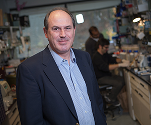 Roger Davis Roger Davis