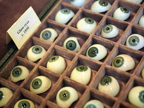 Eyes to the Past Exhibit Draws Large Crowd