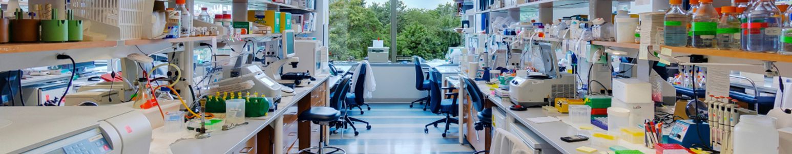 research slider derm.png