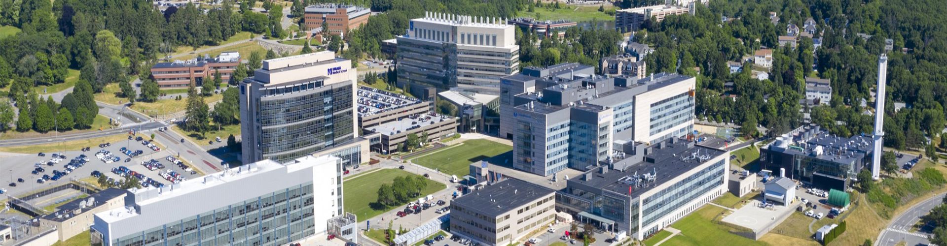 Anesthesiology new header.png