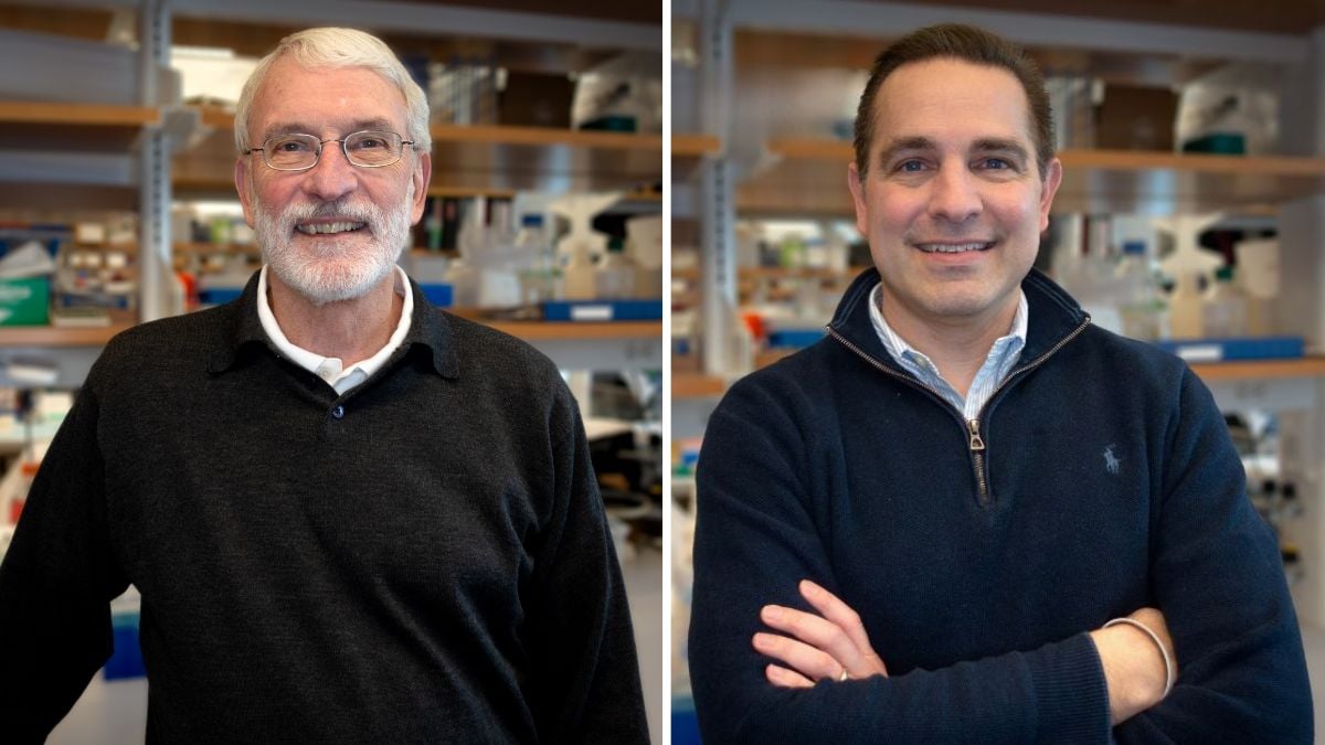 UMass Diabetes Humanized Mouse Core Dale Greiner and Michael Brehm