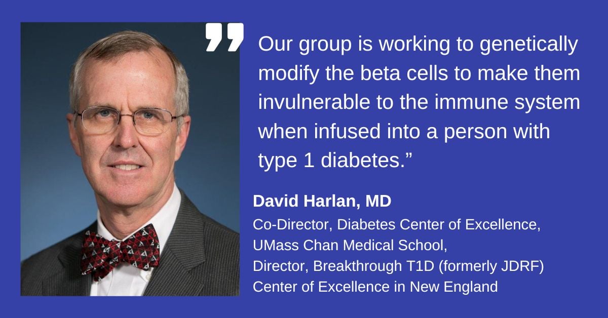 Dr. David Harlan, MD, Breakthrough T1D Center of Excellence in New England Director