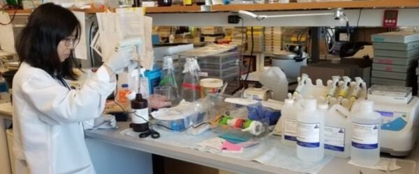 Jinglian Yan Diabetes Wound Healing Research