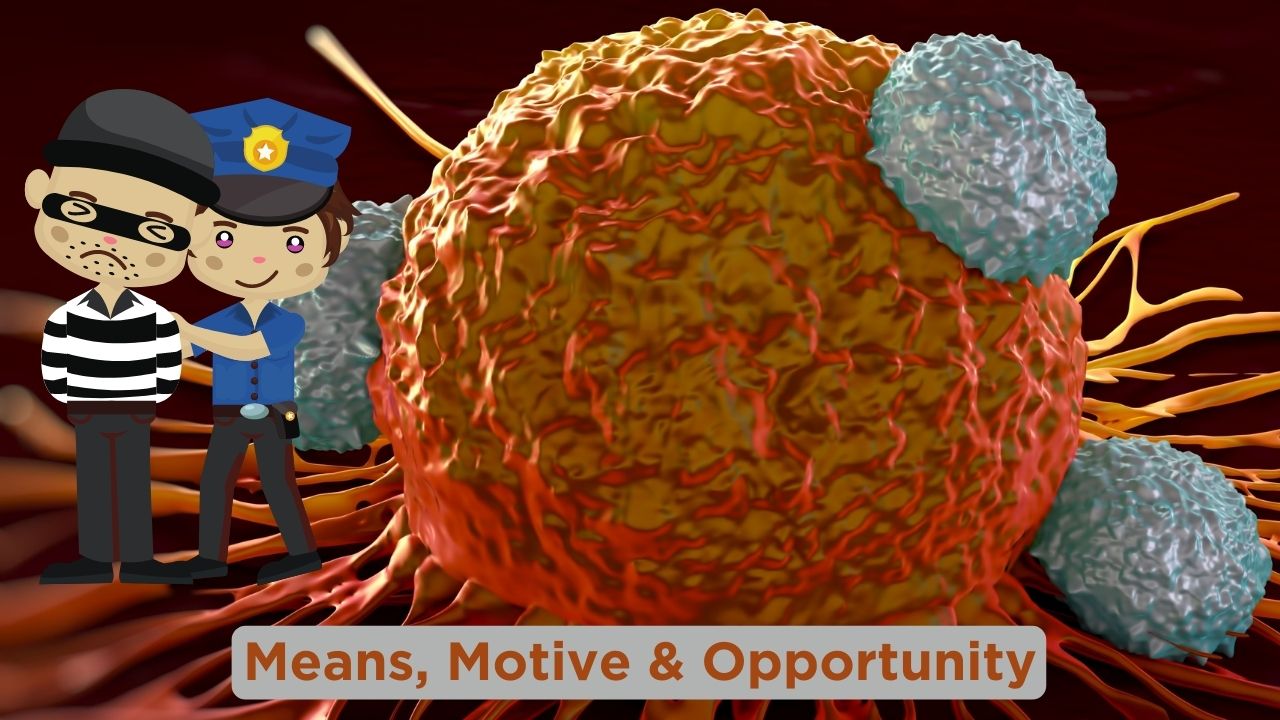 Type 1 Diabetes T Cell Studies