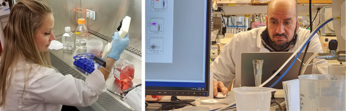 Type One Diabetes Research UMass Chan