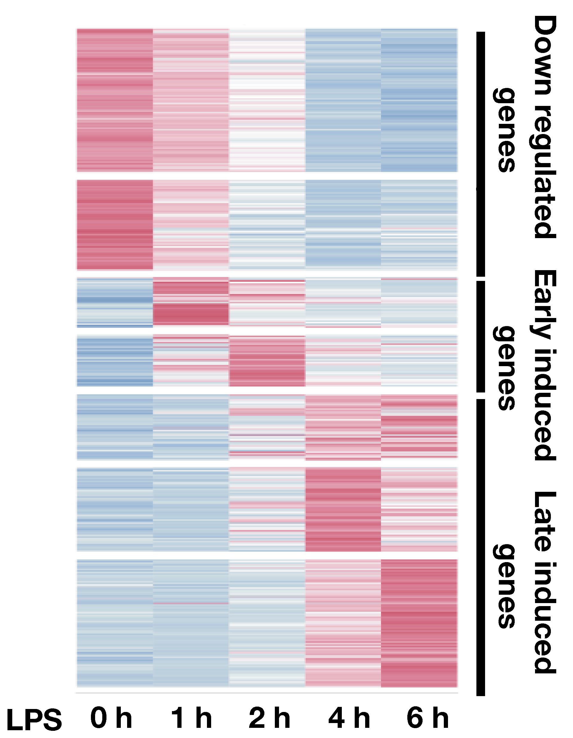 transcription-response-of-DCs-to-LPS transcription-response-of-DCs-to-LPS