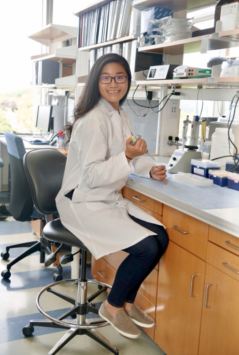 Dori's Lab Working_2019