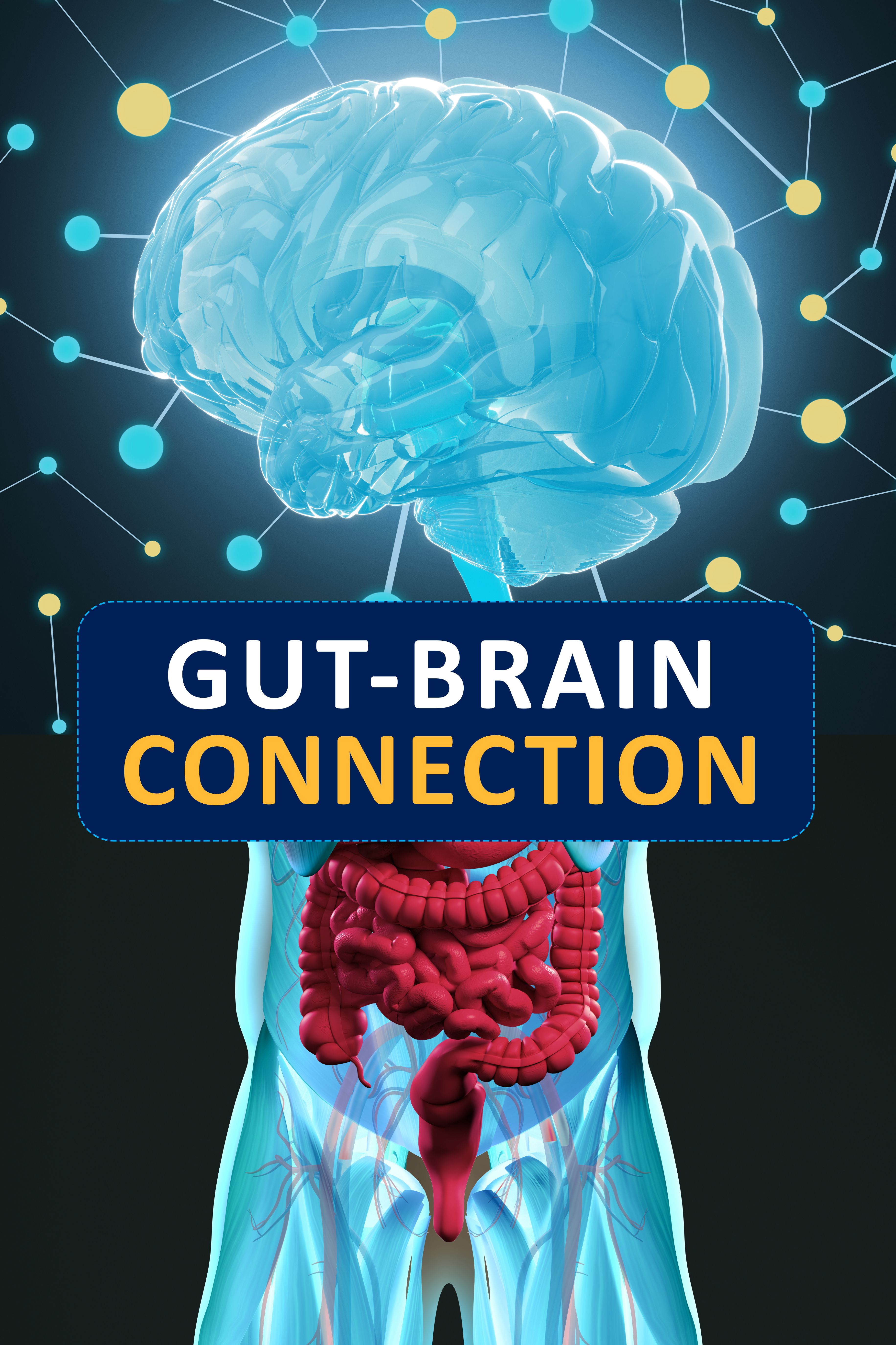 bigstock-Gut-brain-Connection.png