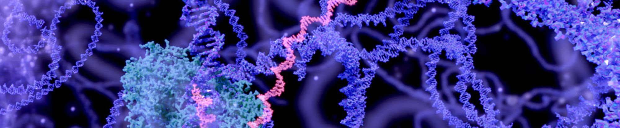 imbalzano hero.png ..png