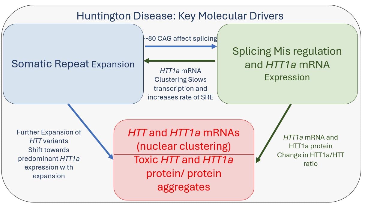 HD mechanism graphic